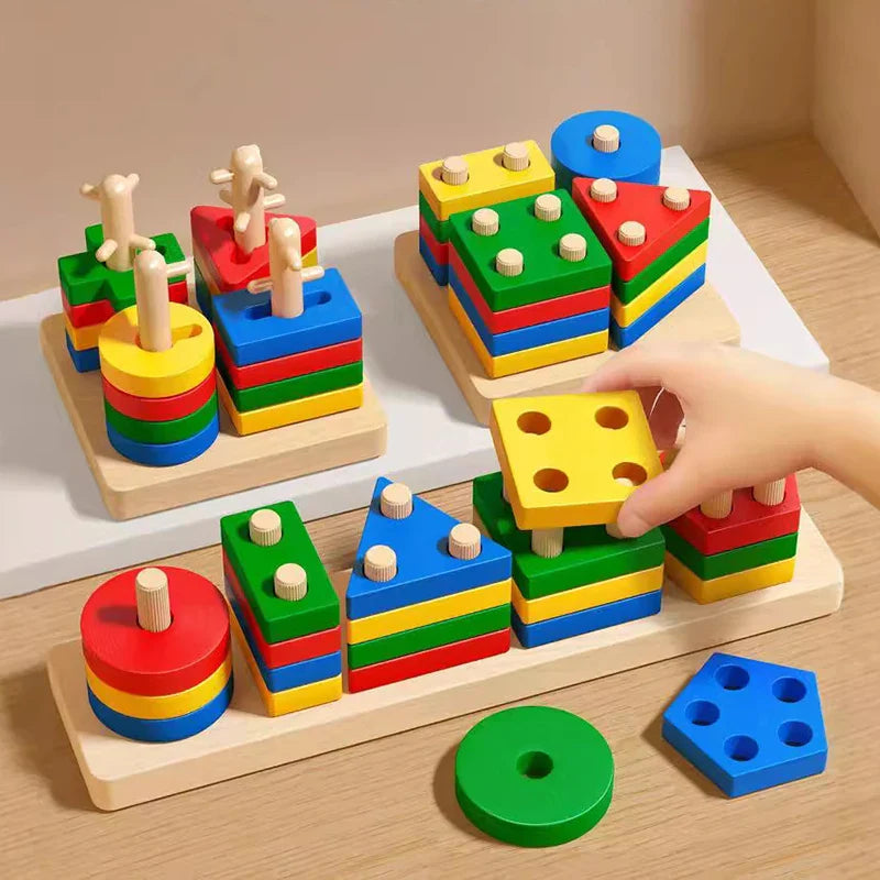 Colorful Shape Sorting Blocks