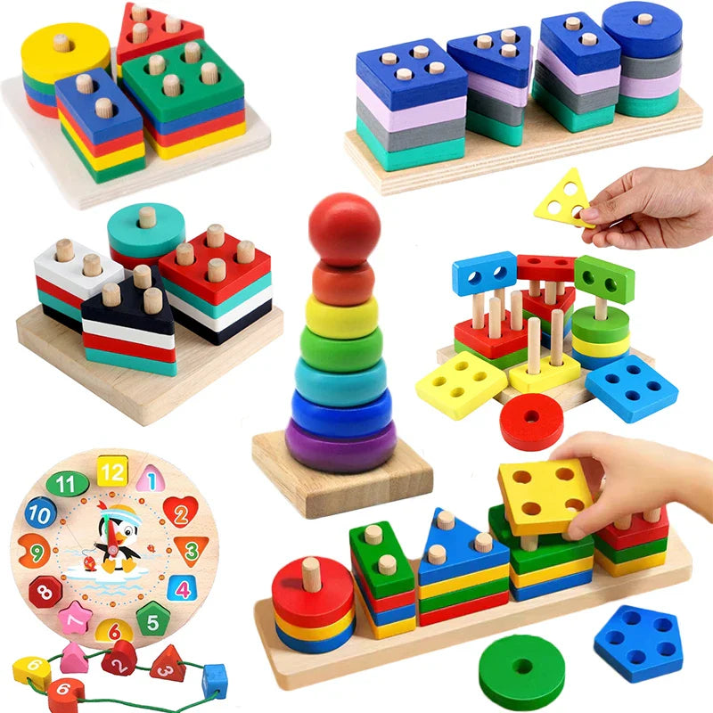 Colorful Shape Sorting Blocks